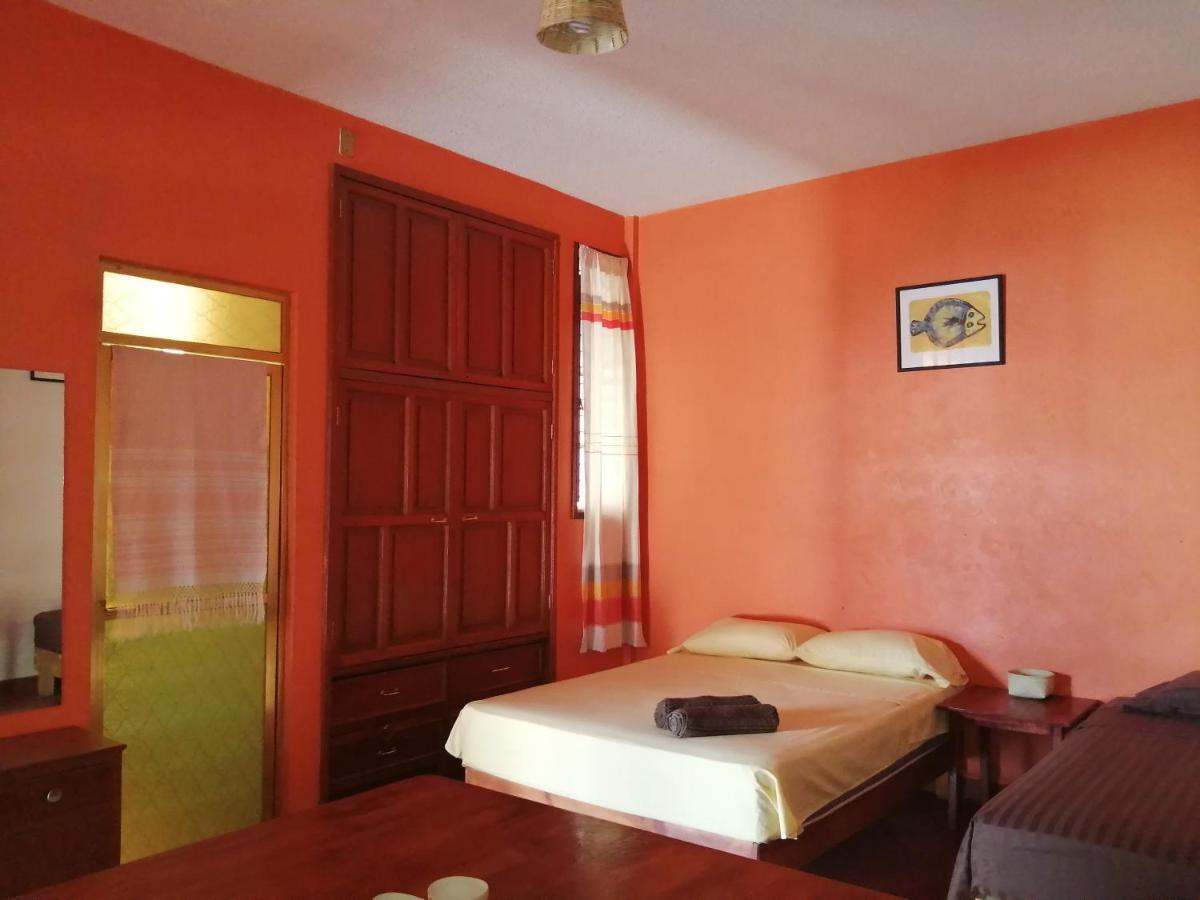 Hostal Alegria De Oaxaca Zewnętrze zdjęcie